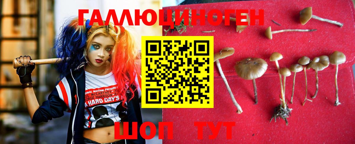Галлюциногенные грибы мицелий  Вход с VPN  Псилоцибиновые грибы прущие грибы  Сегежа 