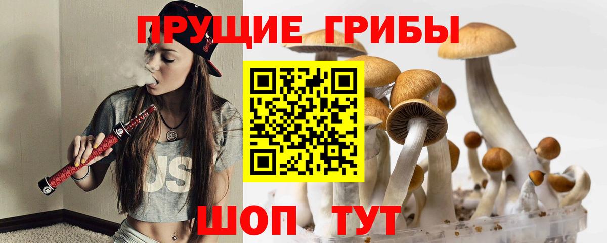 Галлюциногенные грибы Cubensis Сегежа