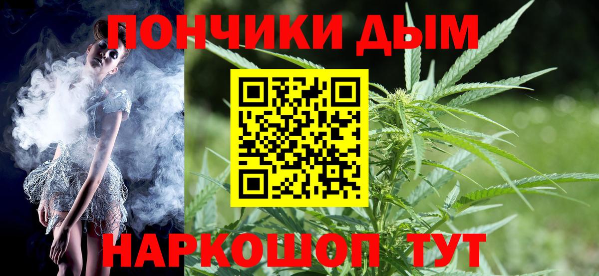 Сегежа  Каннабис сатива  Бошки Шишки семена  Марихуана ГИДРОПОН  Вход с VPN 